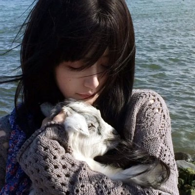 鲨人树儿
